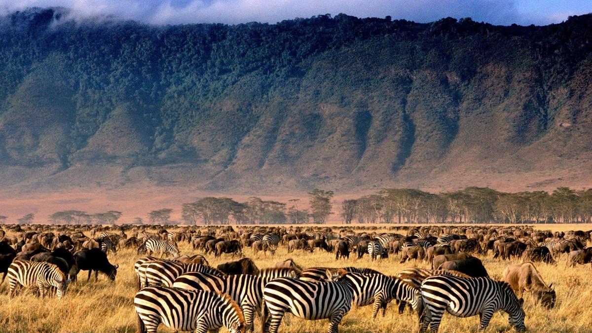 3 days Safari Tarangire, Ngorongoro and Lake Manyara image